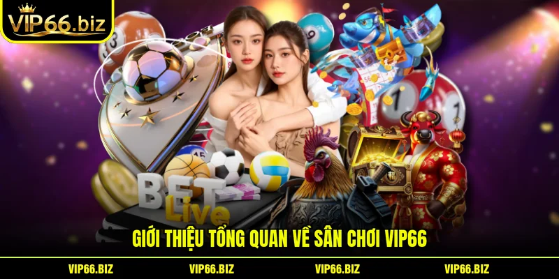 Giới thiệu tổng quan về sân chơi VIP66